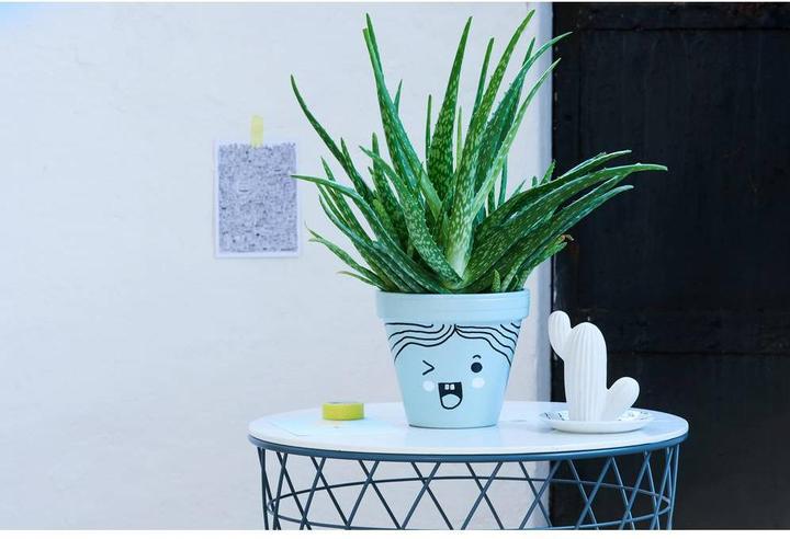 Actual product image Edding Gloss paint marker 750 (2 x)