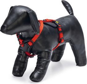 Actual product image Beeztees Premium Y Geschirr Parinca (Dog, General)