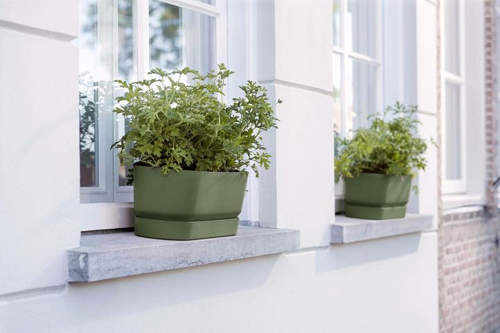 Actual product image Elho Greenville (20 cm)