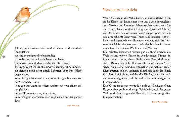 Produktbild Sonnenschein, Freiheit und eine kleine Blume braucht man (Deutsch, Kristina Schaefer, Marjolein Bastin, 2024)