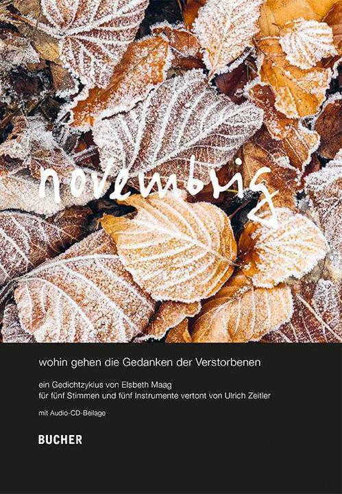 Produktbild novembrig (Deutsch, Alois Bischof, Elsbeth Maag, 2023)