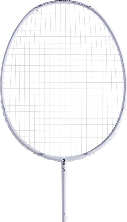 Image du produit Perfly br 500 7259