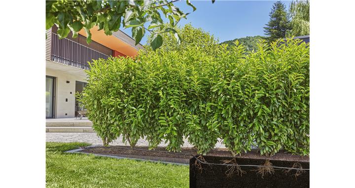 Produktbild Gardena Micro-Drip-System Set Hecke/Sträucher 25m (Tropfbewässerung Set)