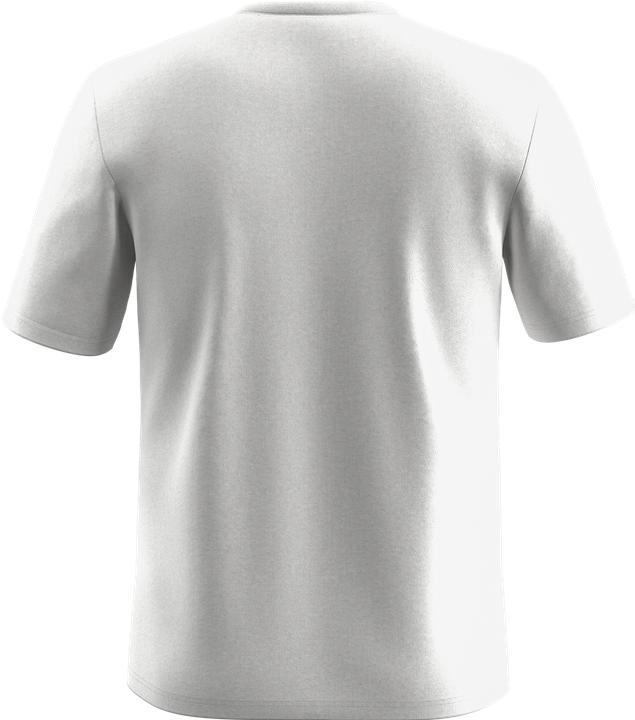 Actual product image Salewa Eagle Geometric T-Shirt M (S)