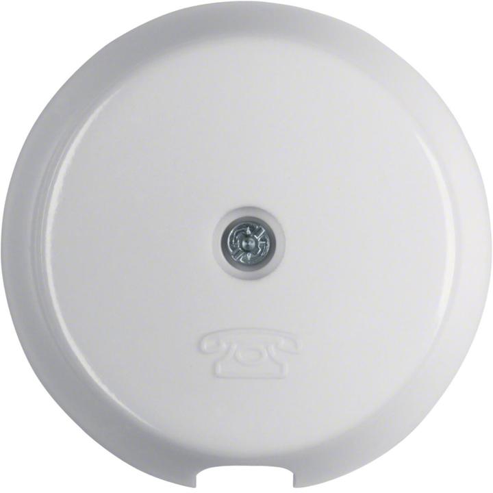 Produktbild Berker Zentralstück