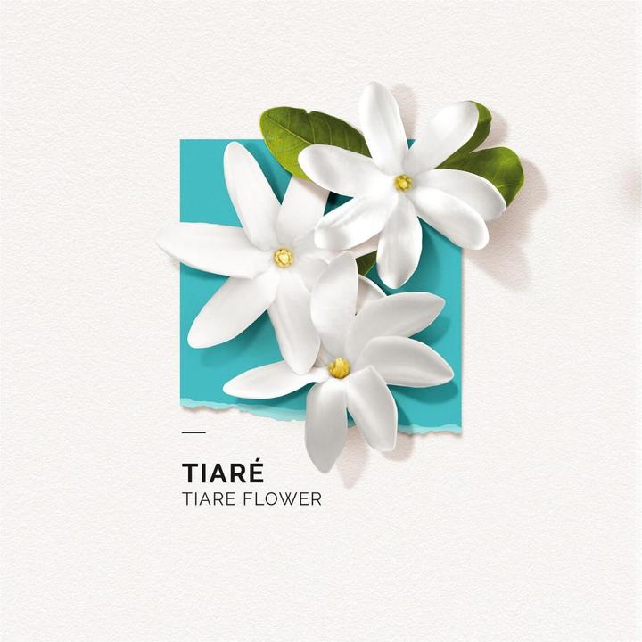 Actual product image Solinotes Paris Solinotes - Tiaré Eau De Parfum (Eau de parfum, 15 ml)
