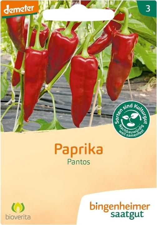 Bingenheimer Saatgut Poivrons Pantos (Germes)