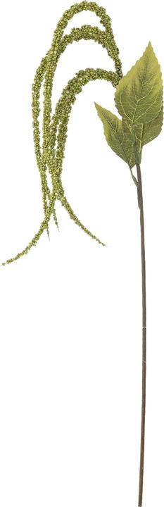 Bloomingville Foxtail (107 cm)