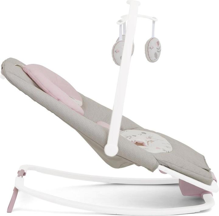 Actual product image Joie Dreamer