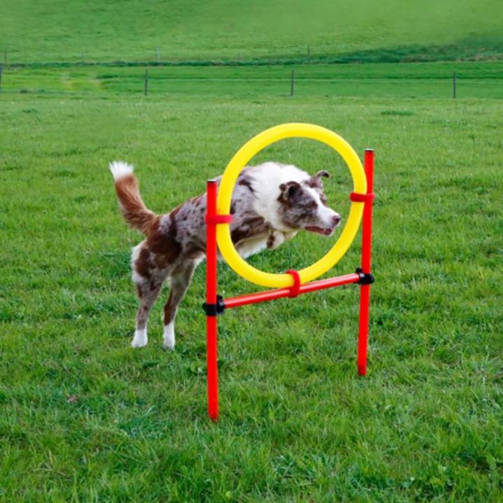Actual product image Kerbl Complete set (One size, Agility)