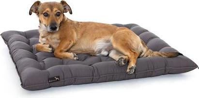 Immagine prodotto Pointer Cuscino per cani Urban (Cane)