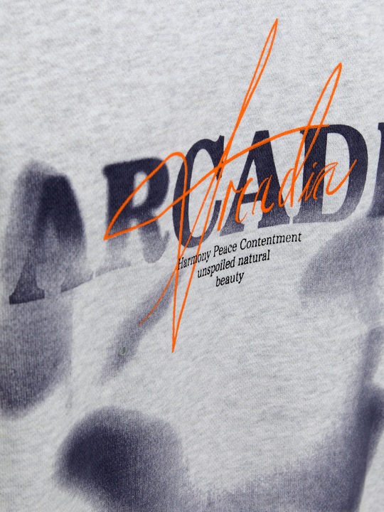 Immagine prodotto Jack & Jones Jjecharge Graphic Sweat O-N Styd Aw24 Ln (L)