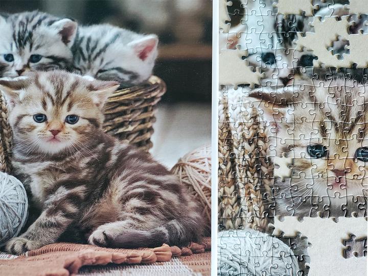 Produktbild Tactic Cute Kittens 1000 pcs (1000 Teile)