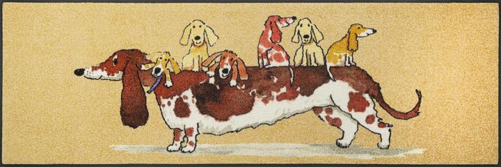 Produktbild Wash + Dry Fussmatte wash+dry 60/180 Woof Buddies (60 x 180 cm)