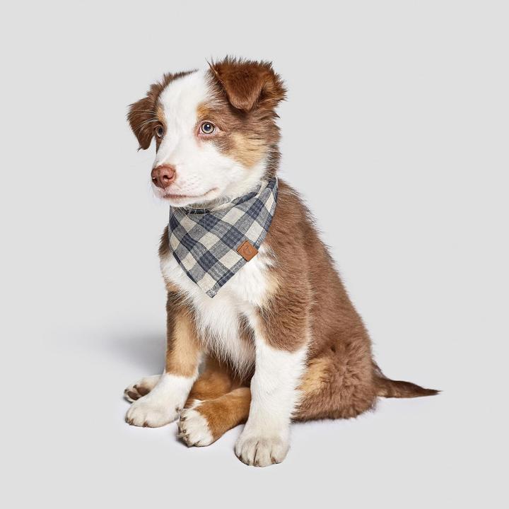 Produktbild Cloud 7 Bandana Check (Hundehalstuch)