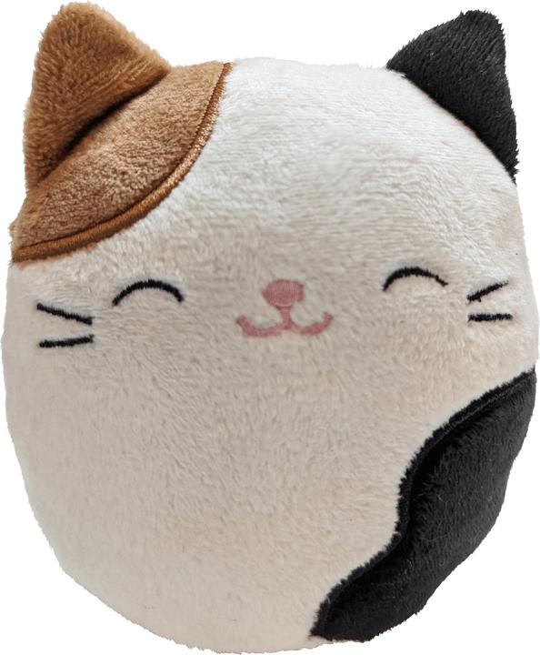 Actual product image Squishmallows Plush Bluetooth Speaker - Cameron (608092) (10 h)