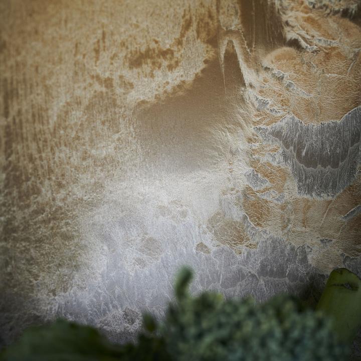 Actual product image House Doctor Serveur (24.50 cm, 3.55 l, 1 x)