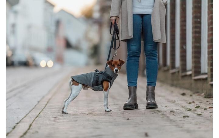 Image du produit Trixie Geschirr-Wintermantel Pontis Reflect S, 40 cm (S, Manteau pour chien)