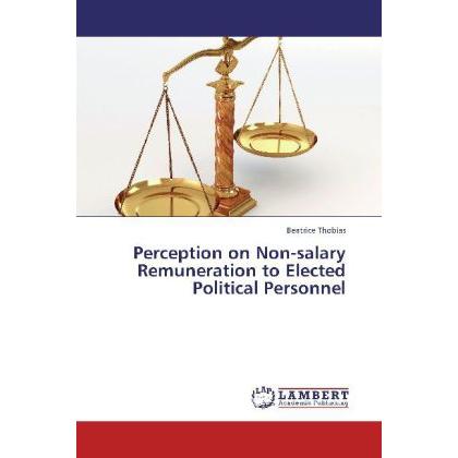 Perception on Non-salary Remuneration to Elected Political Personnel, Fachbücher von Beatrice Thobias