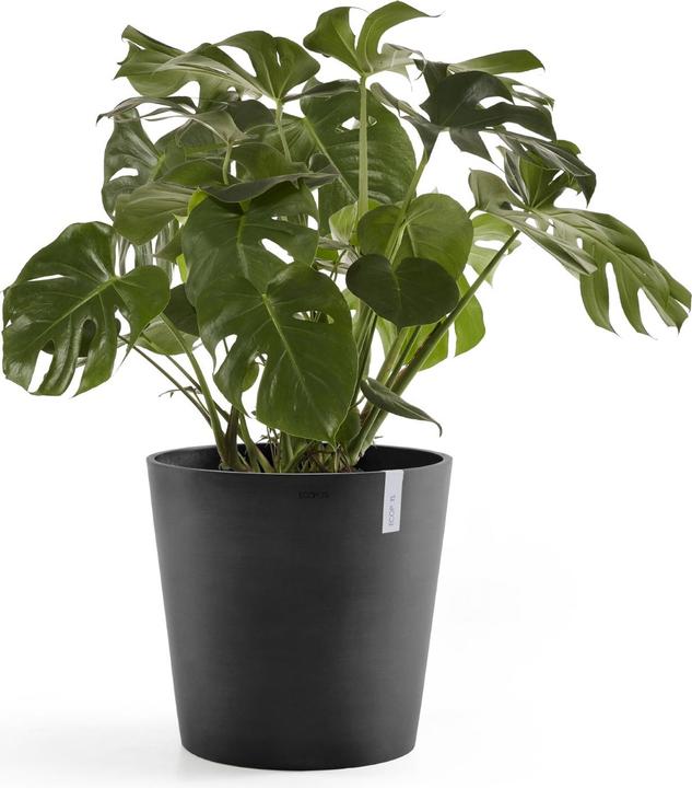 Produktbild Ecopots Amsterdam (50 cm)