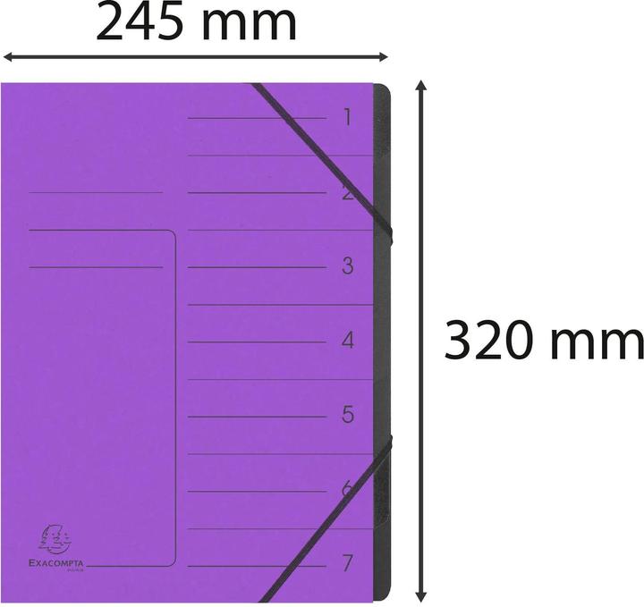 Actual product image Exacompta Stapled file folders (A4, 1 x)