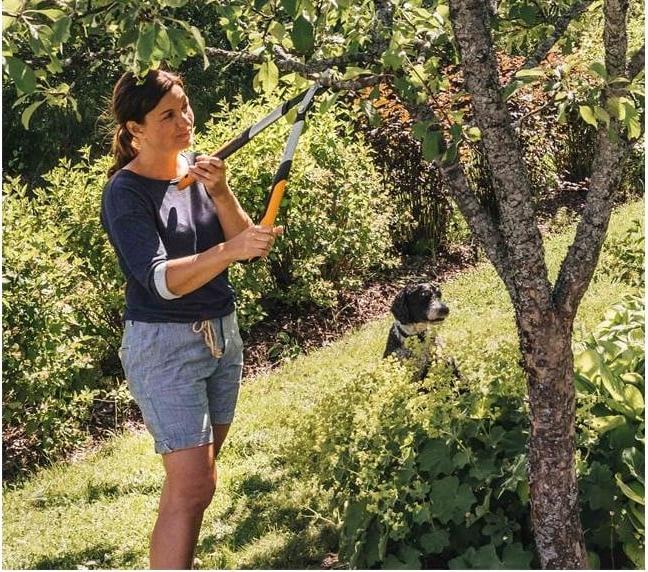 Produktbild Fiskars Astschere Bypass PowerGearX LX