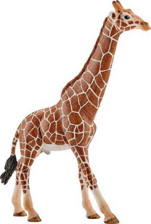 Image du produit Schleich Girafe taureau