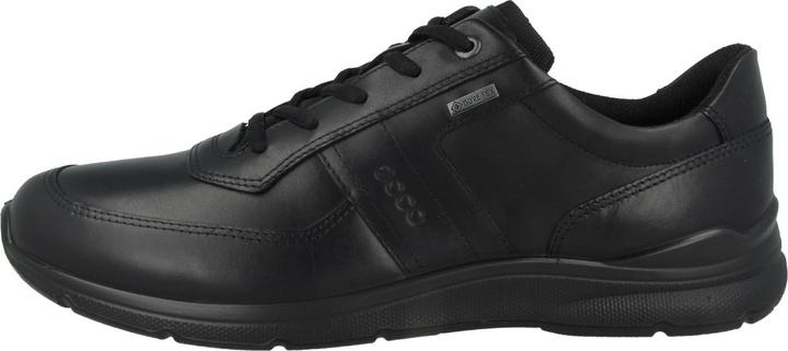 Image du produit Ecco Irving GTX (45)