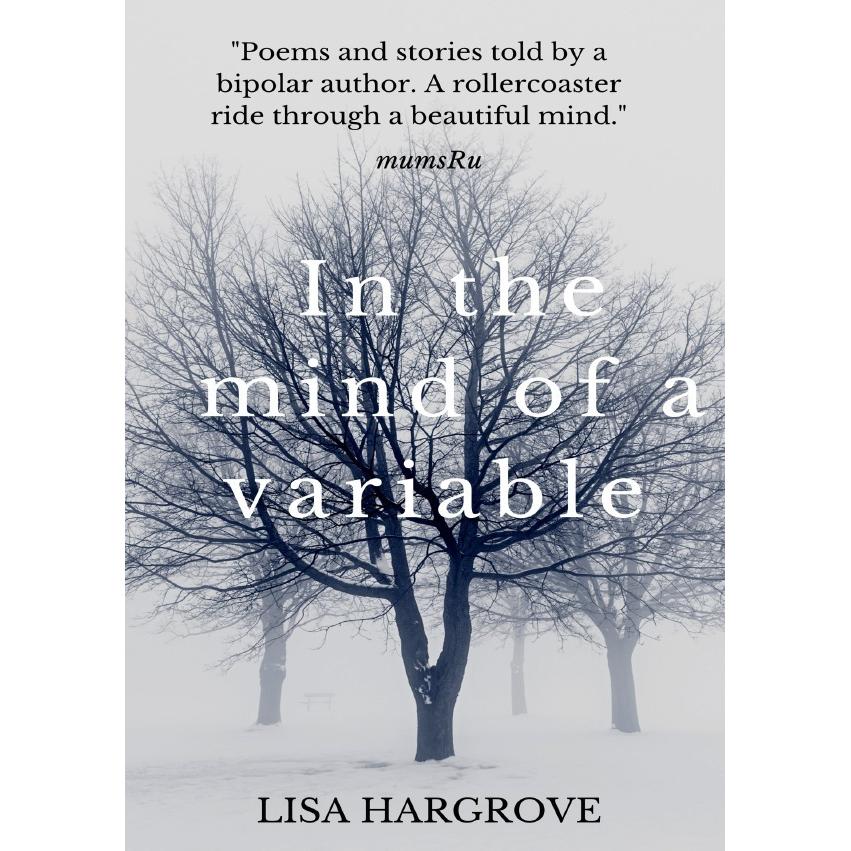 In the mind of a variable, Belletristik von Lisa Hargrove