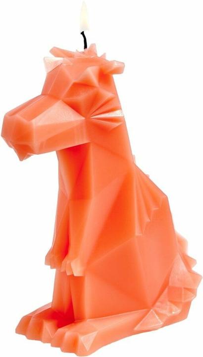 Produktbild 54Celsius PyroPet Dreki