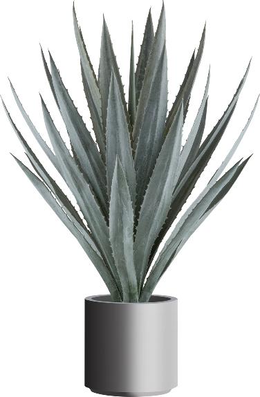 Immagine prodotto Gasper Agave / H: 110 cm (110 cm)