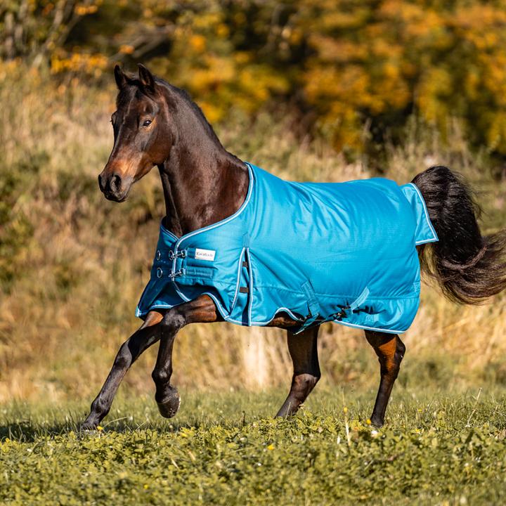 Bordeaux red, Petrol, White