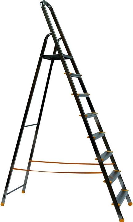 Actual product image Puag Household ladder 8 steps (Stepladder, 243 cm)
