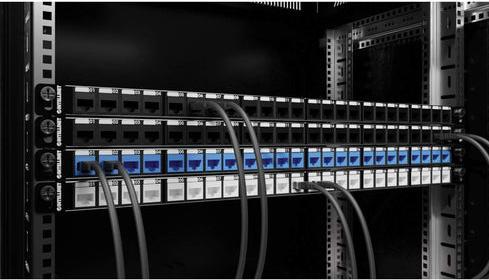 Actual product image Intellinet 24-port patch panel, shielded and unequipped, 0.5 U