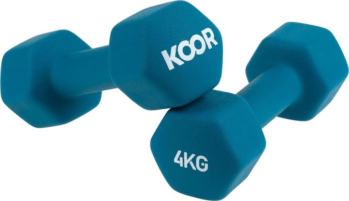 2 x 4 kg
