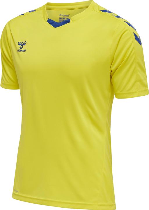 blazingyellowtrueblue