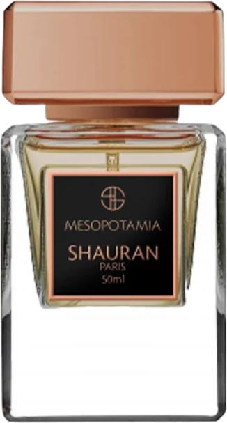 Actual product image Shauran Mesopotamia Eau De Parfum (Eau de parfum, 50 ml)