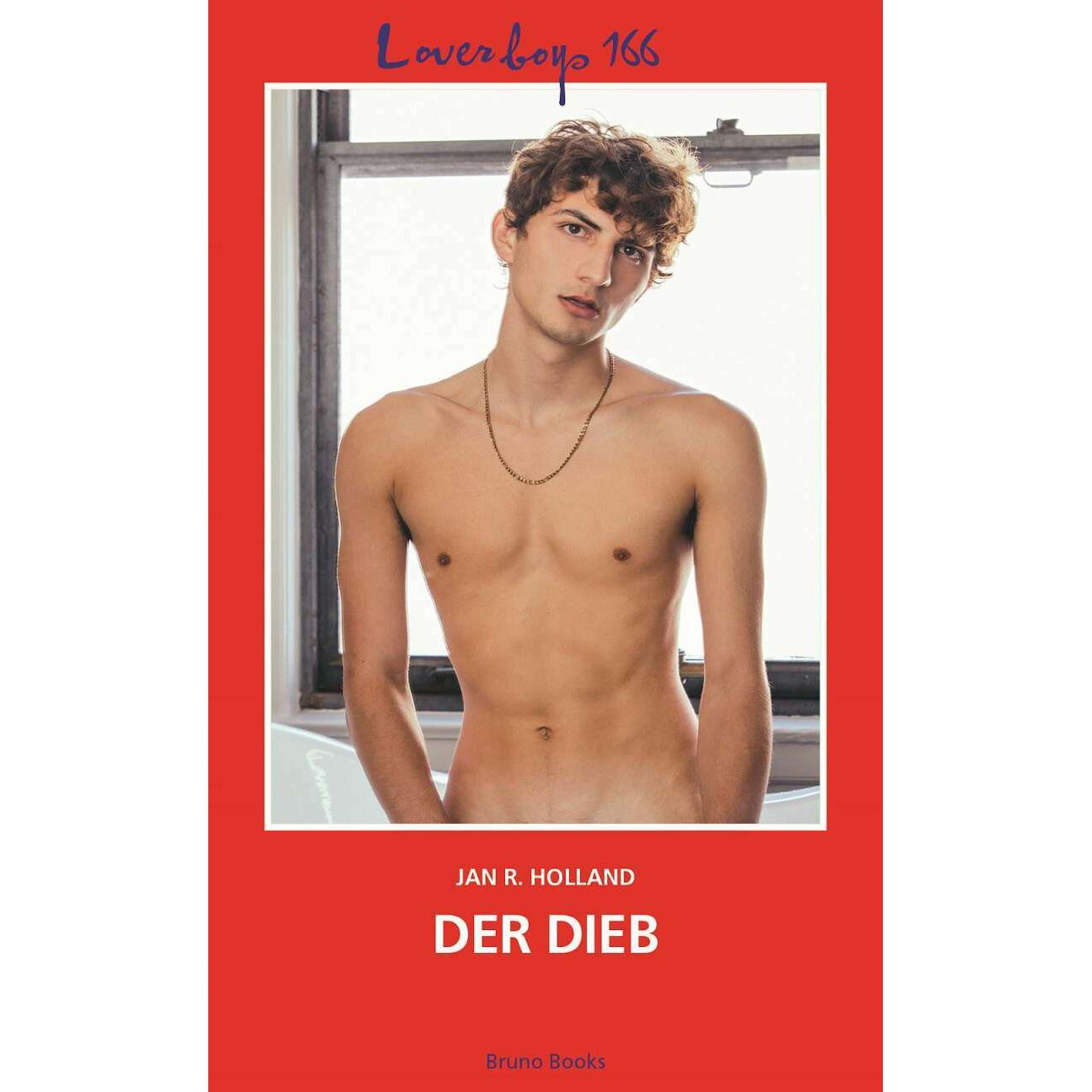 Loverboys 166: Der Dieb, Belletristik von Jan R. Holland