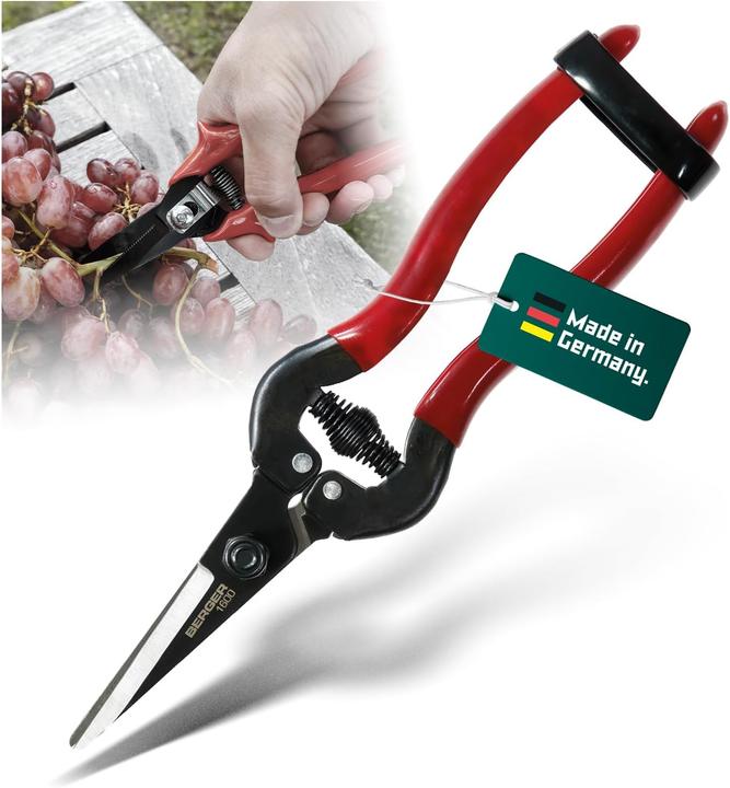 Actual product image Berger Grape shears 200 mm