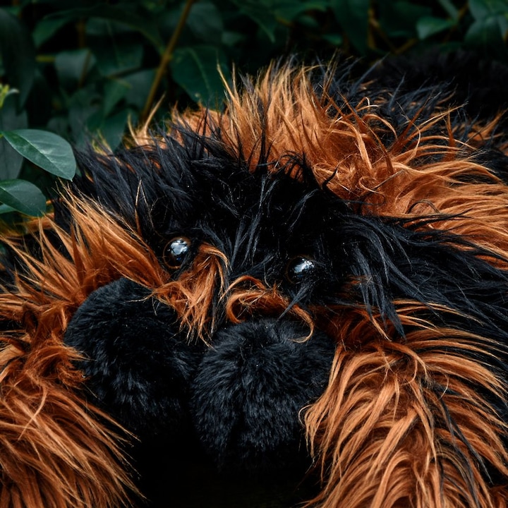 Actual product image Mikamax Giant Tarantula (85 cm)