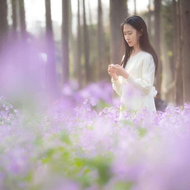 Immagine prodotto Venus Optic Laowa 105mm f/2 STF Canon (Canon EF, APS-C / DX, Full frame)