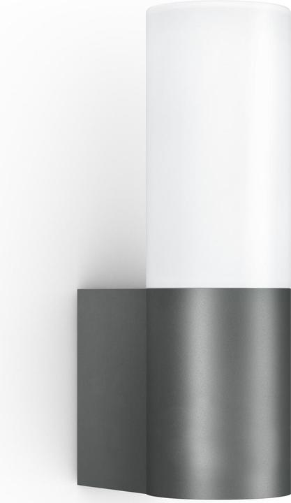 Steinel LED outdoor light L 605 M Alu (729 lm, IP44)
