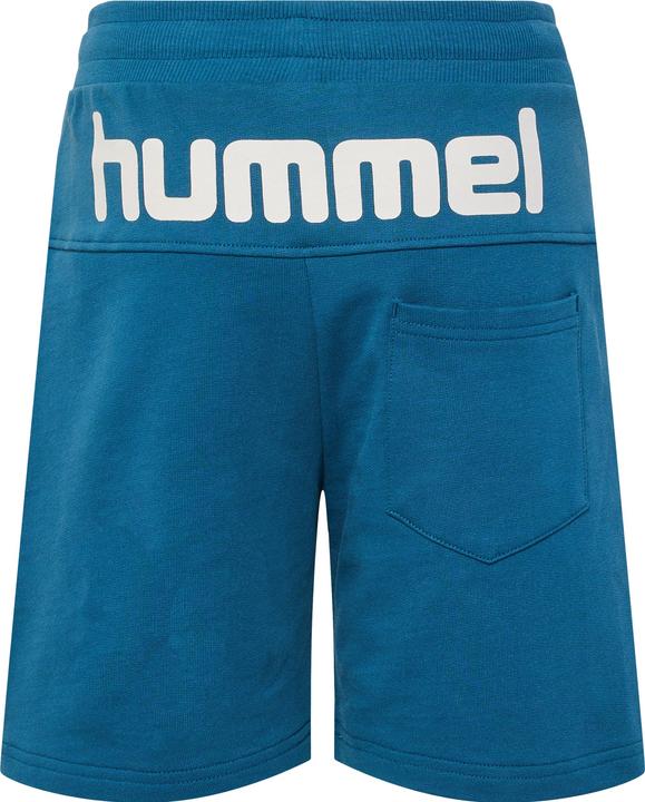 Produktbild hummel Hmlflow Shorts (110)