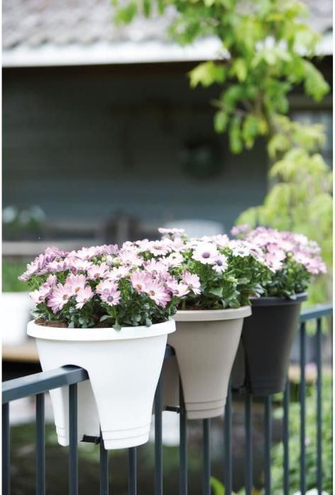 Produktbild Elho Corsica (29 cm)