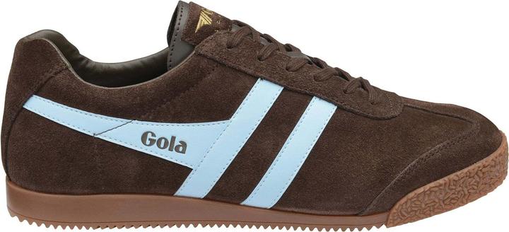 Gola Harrier (41)