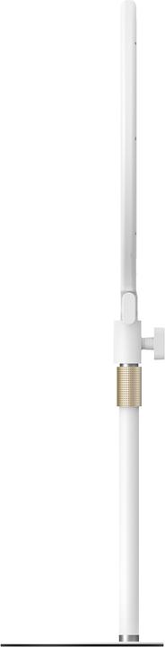 Telesin Eye-Protection Fill Light - Desk Version