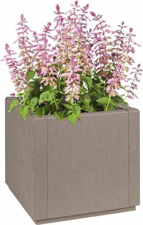 Actual product image vidaXL Garten-Pflanzgefäss (36 x 36 x 35 cm)