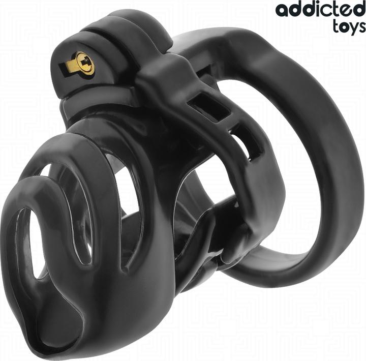 Actual product image Addicted toys Locked - Eternal Lock Peniskã„Fig 9 cm