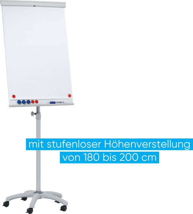 Actual product image Franken Line Mobile (70 x 110 cm)
