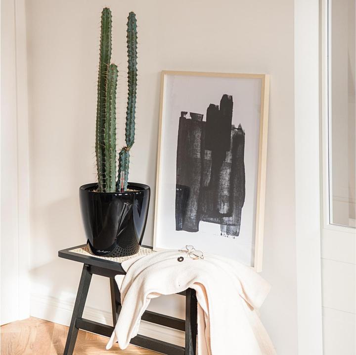 Image du produit Lechuza Classico (36 cm)